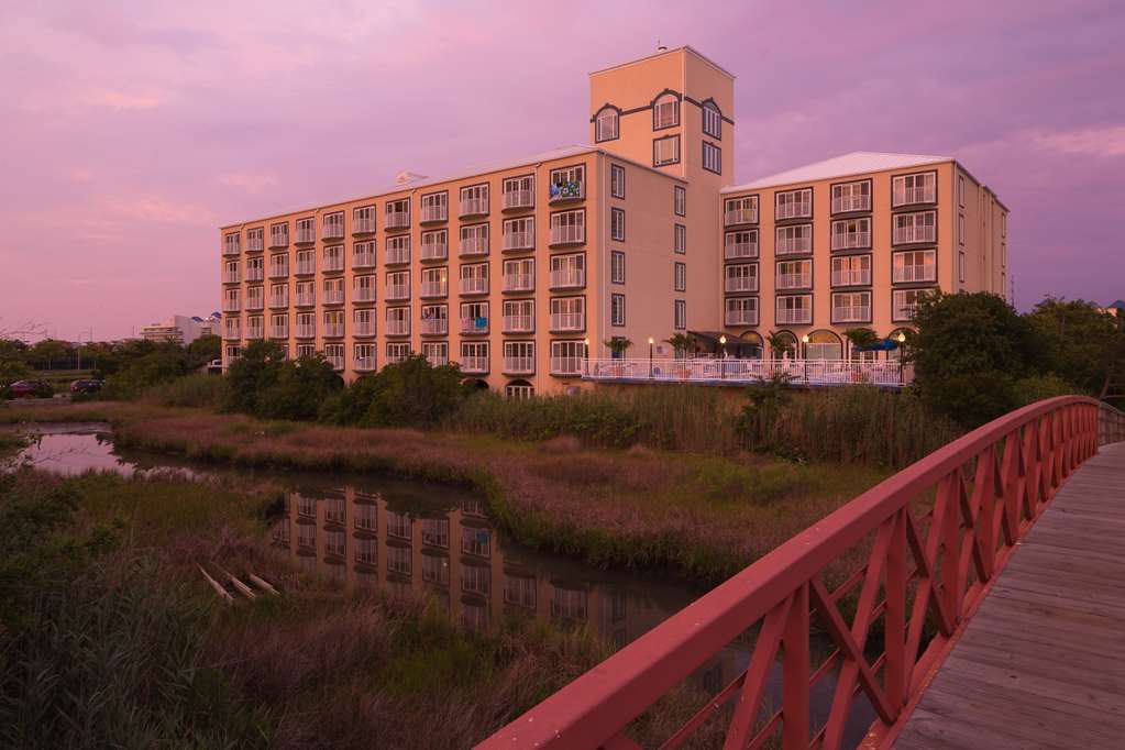 Coconut Malorie Resort Hotel, Ascend Hotel Collection Ocean City Kültér fotó