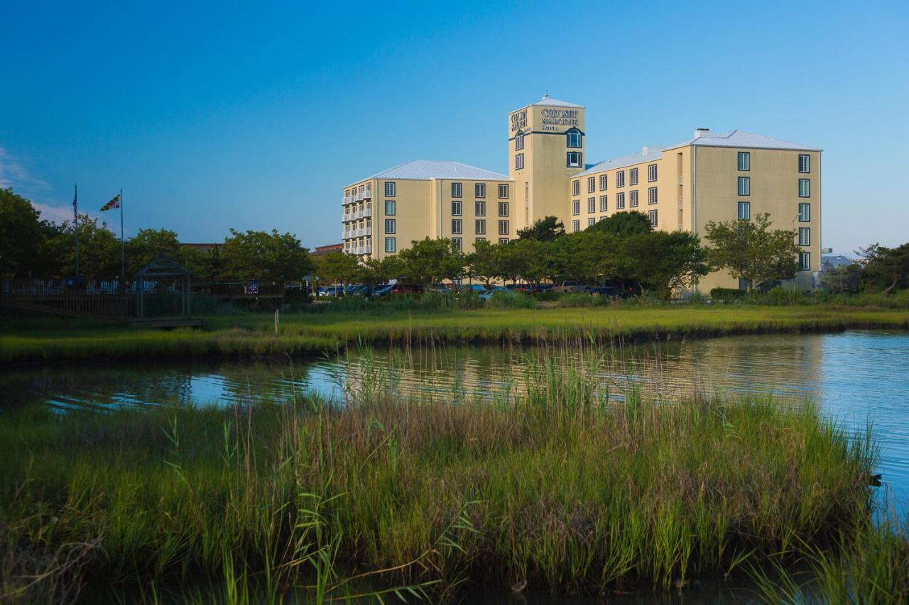 Coconut Malorie Resort Hotel, Ascend Hotel Collection Ocean City Kültér fotó